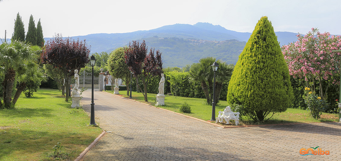 L'Albero del Pepe